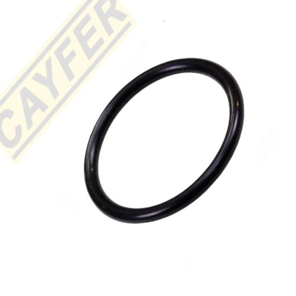 O RING D25900/D25730/891 Mod.DW25900/D25730/D25730 - Imagen 1